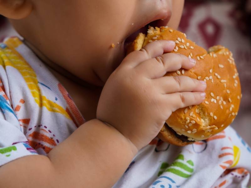 Expertos de salud reunidos para la elaboración de la Guía de Obesidad en Ecuador.
