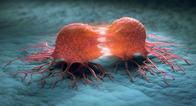 Representación gráfica de factores de riesgo prevenibles asociados al cáncer según estudio de la OMS.