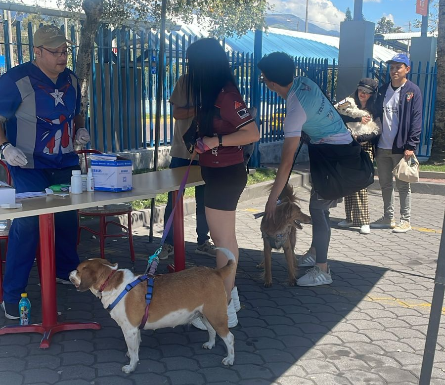 Jornada de desparasitación de mascotas