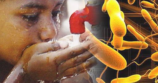 Vacunación preventiva contra el cólera en Mozambique."