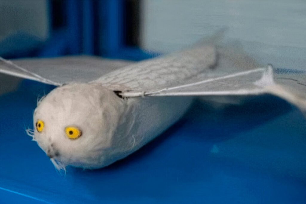 Prototipo de uno de los drones de alas batientes inspirado en el vuelo de un águila realizado por investigadores en Pekín.