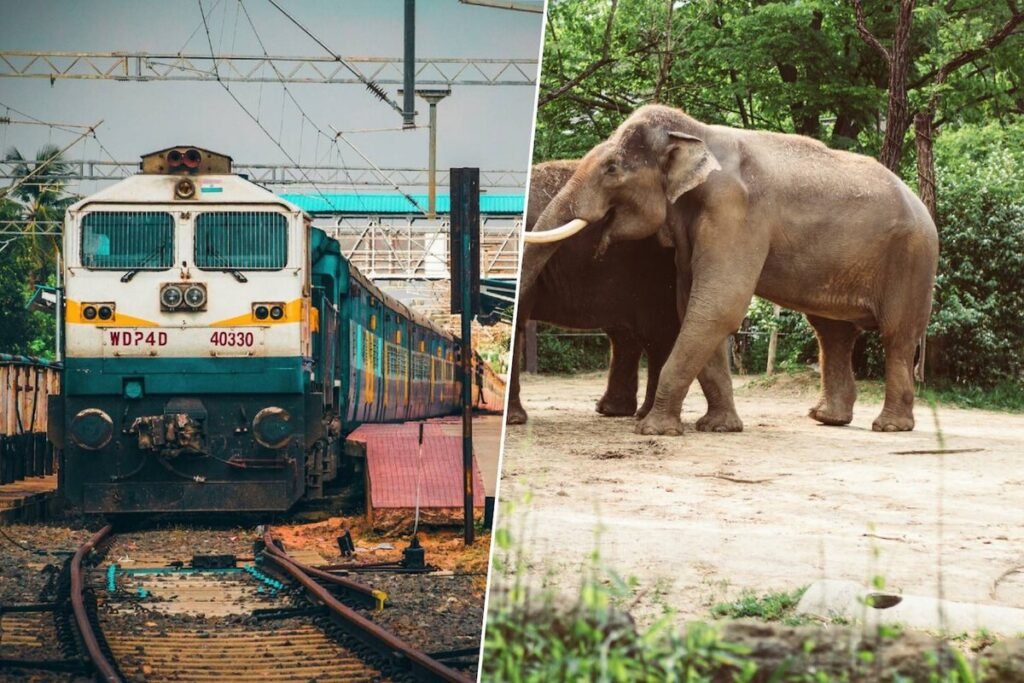 Sistema de inteligencia artificial para la seguridad ferroviaria en India protegiendo elefantes en las vías.