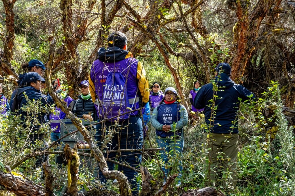 Jornada de siembra de árboles de Corporación Favorita en la Reserva Hídrica Ponce Paluguillo
