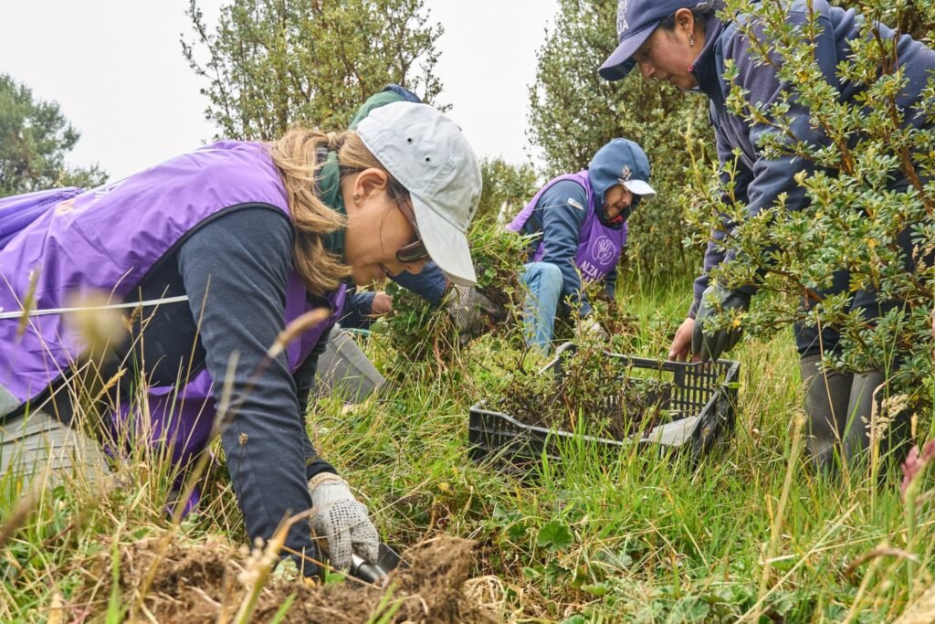 Jornada de siembra de árboles de Corporación Favorita en la Reserva Hídrica Ponce Paluguillo