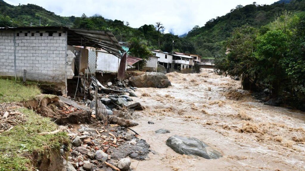 afectadas por lluvias