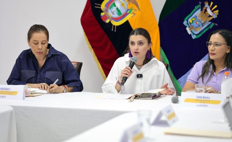 María José Pinto, ministra encargada de salud