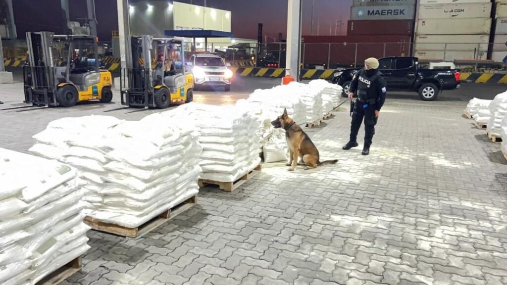 Decomiso de droga en Posorja con sacos de abono orgánico que ocultaban cocaína en puerto