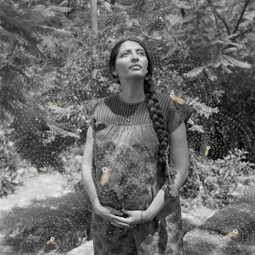 Ganadores del Latin America Professional Award en los Sony World Photography Awards 2026 exhibiendo sus obras.