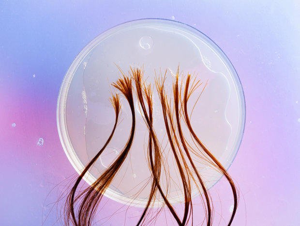 Primer plano de cabello saludable y cabello con signos de salud deteriorada, mostrando la diferencia visual