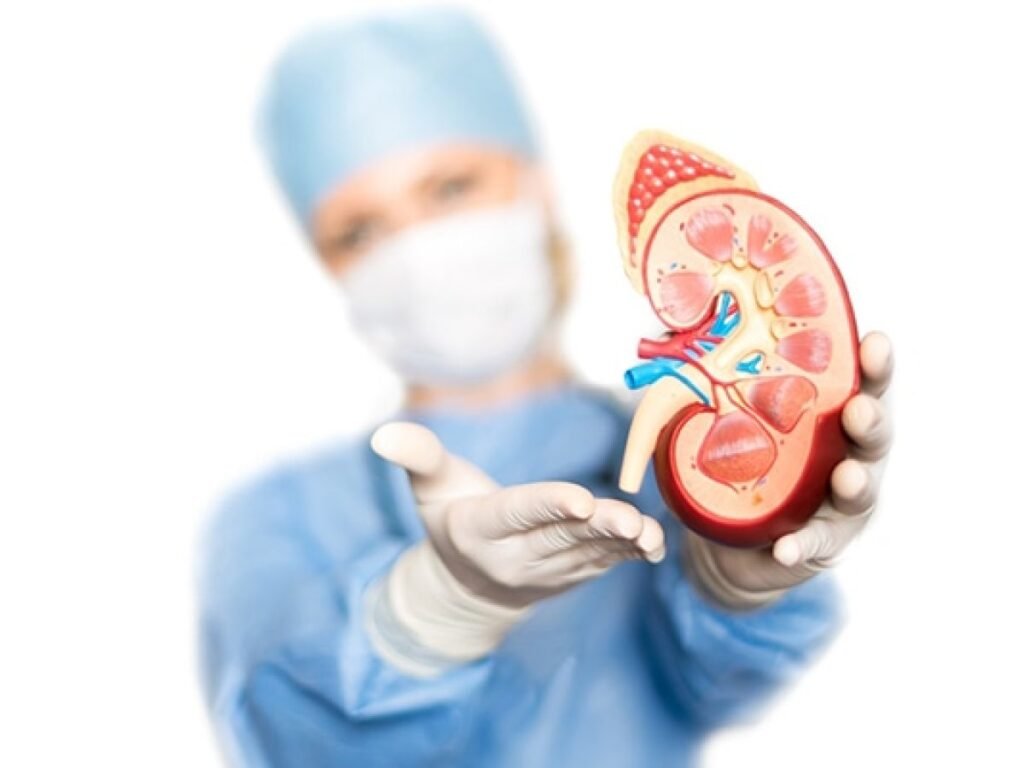 Atención renal