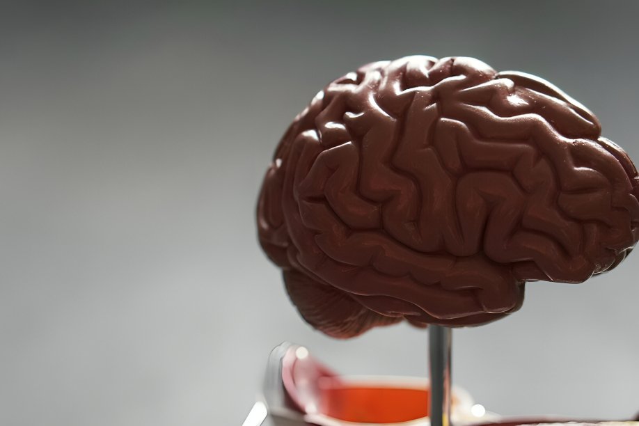 Científico analiza ondas cerebrales en EEG para predecir demencia con inteligencia artificial