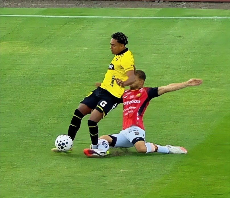 Mateo Maccari