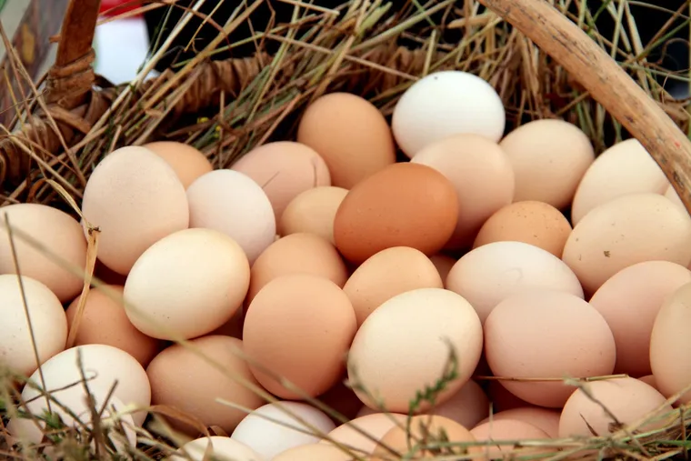 Huevos frescos en una cesta con verduras