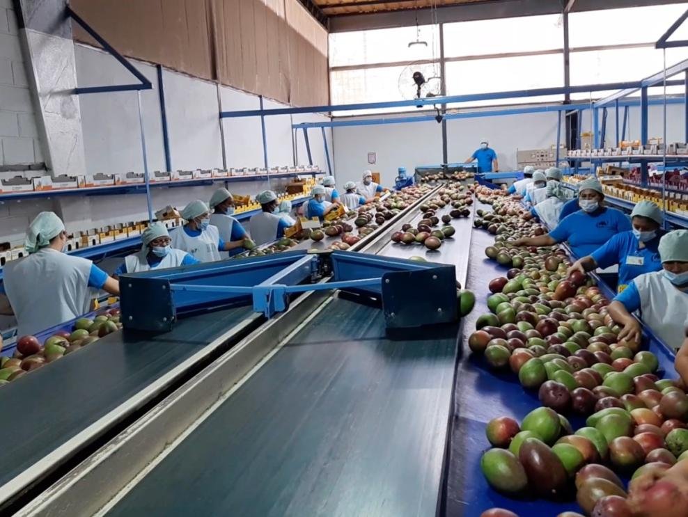 mercado de Corea del Sur