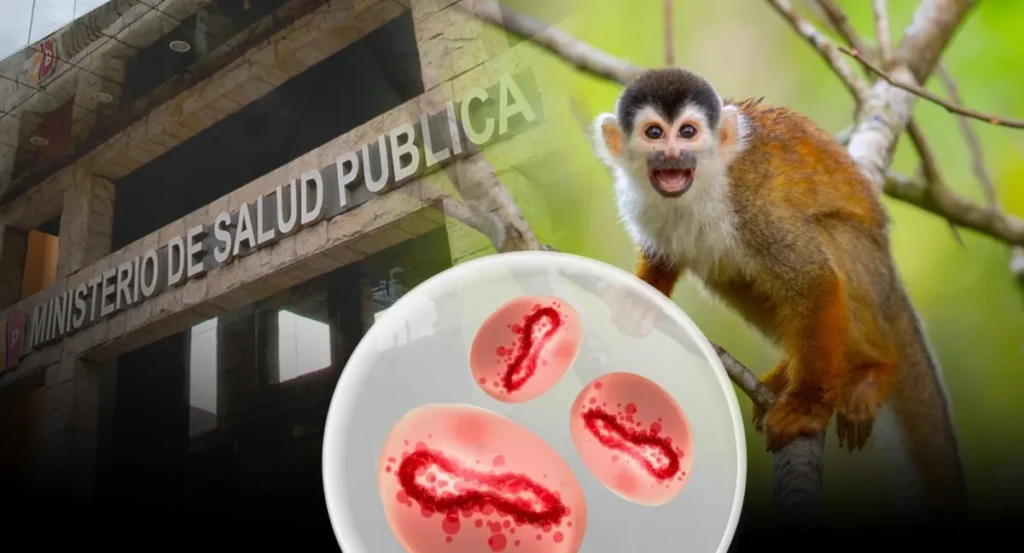 Científico analizando muestra para detectar viruela del mono en laboratorio de Ecuador.