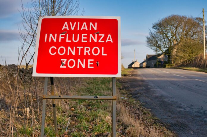 lustración de aves y mamíferos junto a un mapa global que indica la propagación de la gripe aviar A(H5N1), con enfoque en la vigilancia epidemiológica y la salud pública.