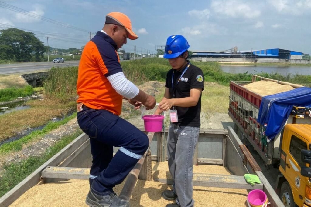Crisis arrocera en Ecuador
