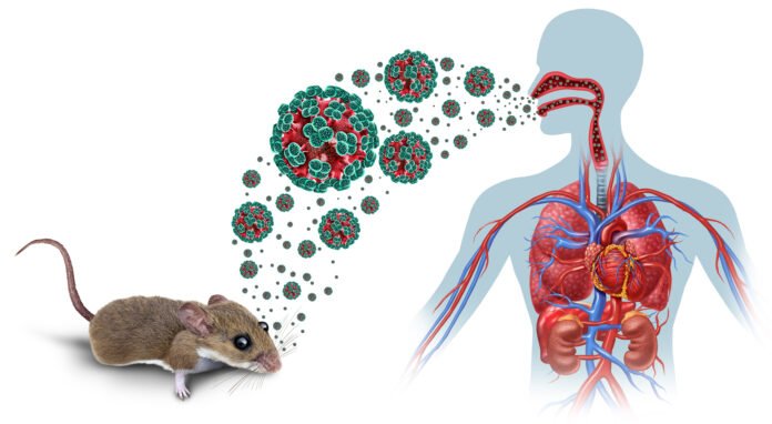Ilustración de un roedor, principal transmisor del hantavirus, con un fondo que sugiere un entorno contaminado