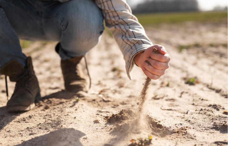 Agricultor aplicando bioinsumos en cultivo de arroz en Ecuador como alternativa a fertilizantes químicos
