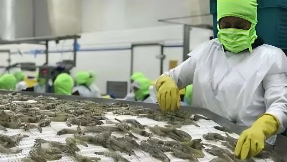 gremios de productores