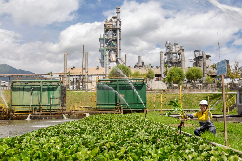 Colaboradores de UNACEM participando en jornadas de reforestación para consolidar una gestión ambiental responsable en Ecuador.
