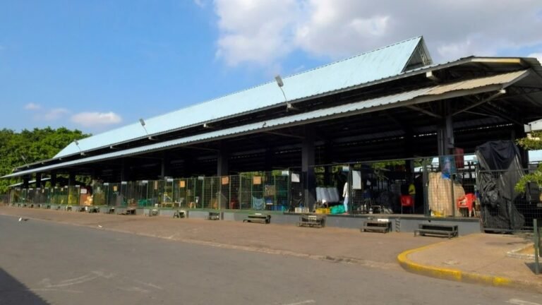mercado de Montebello