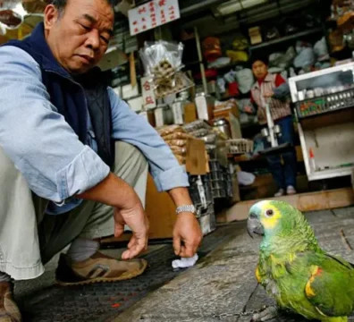 Persona realizando correctamente la sentadilla asiática en un espacio tranquilo, demostrando buena postura y equilibrio