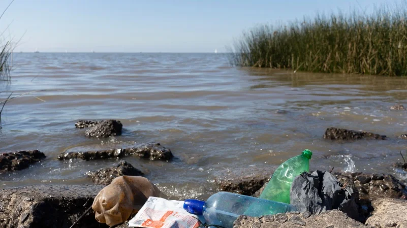 Representación gráfica sobre cómo la contaminación ambiental impacta en enfermedades transmisibles y crónicas, con símbolos de salud y medio ambiente
