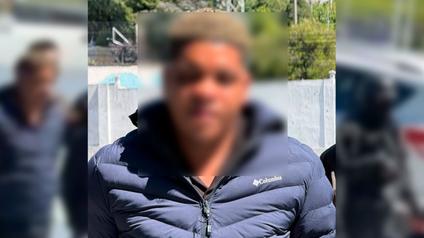 redes de delincuencia organizada