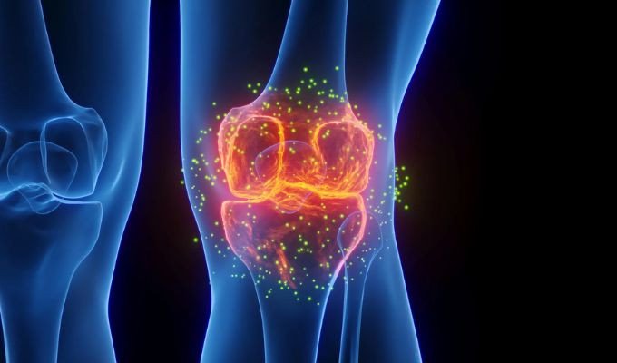 Investigación médica sobre regeneración de cartílago articular, avance científico contra la artrosis