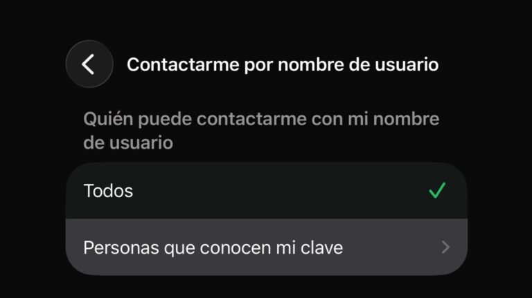 Captura de pantalla de la sección de privacidad de la aplicación móvil mostrando la opción para activar la clave PIN, ilustrando cómo proteger el nombre de usuario de WhatsApp.