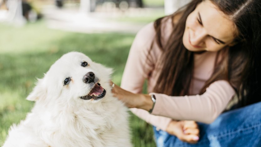 Persona acariciando feliz a su perro por un parque, demostrando cómo tener un perro mejora la salud física y emocional
