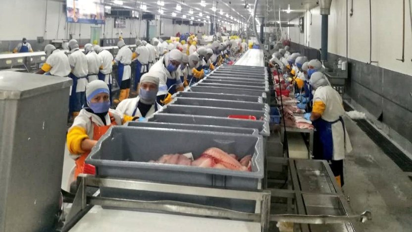 Instalaciones de Santa Priscila, exportadora de camarón de Ecuador, tras la compra de Ecuaprotein.