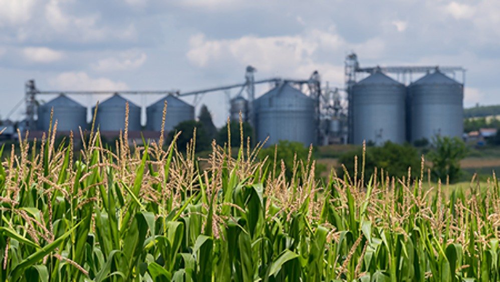 sector agroalimentario