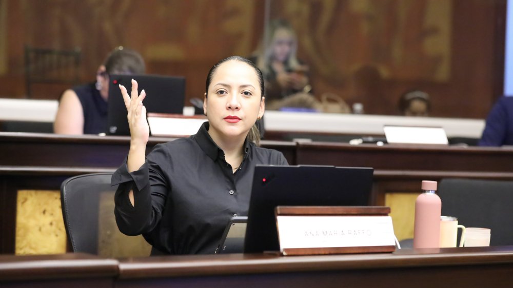 Ana María Raffo, asambleísta de Revolución Ciudadana, fue suspendida nueve días sin remuneración por el CAL. La legisladora denuncia persecución política.
