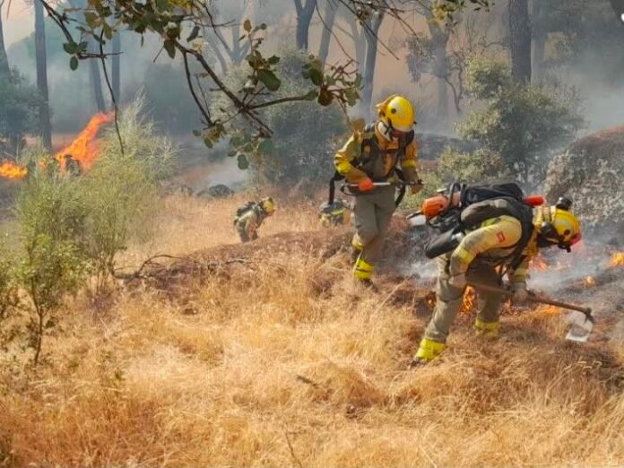 Humo denso de incendio forestal junto a una silueta de pulmón humano y partículas PM2.5 en primer plano, ilustración sobre riesgos respiratorios por contaminación atmosférica