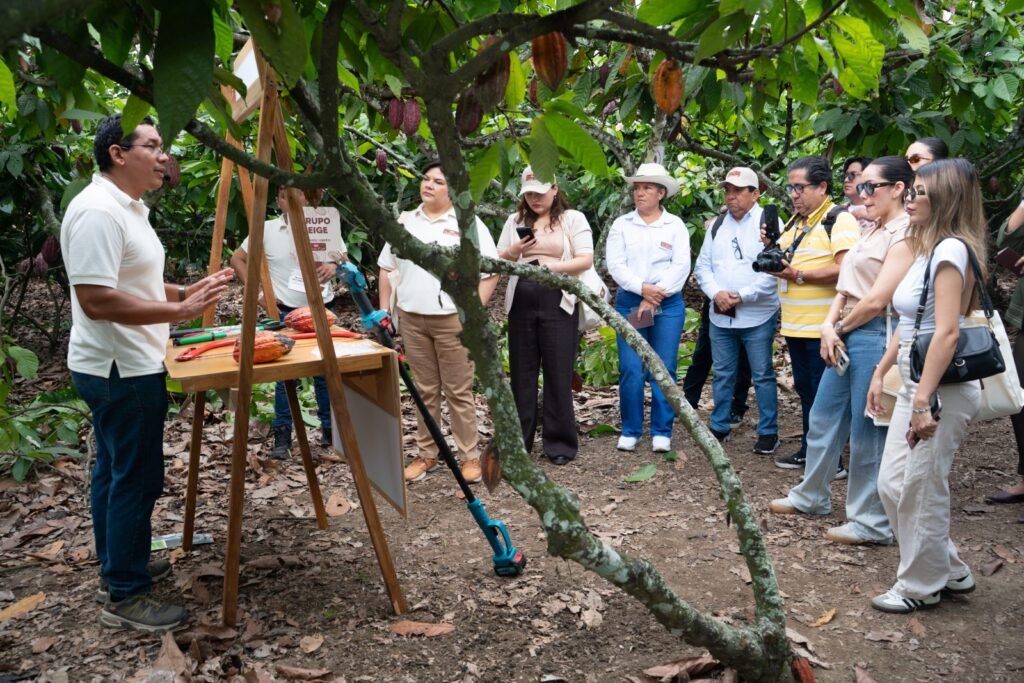 Productores agrícolas ecuatorianos sonriendo en una plantación sosteniendo frutos recolectados de alta calidad, representando el futuro del cacao ecuatoriano.