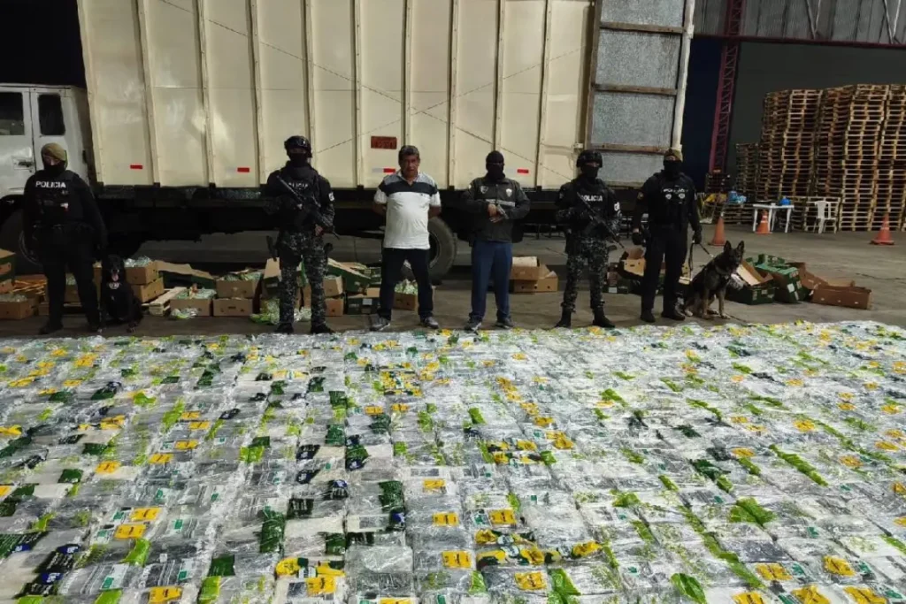 Agentes inspeccionan el cargamento de cocaína decomisada en Puerto Bolívar oculto en cajas de fruta con destino a Inglaterra.