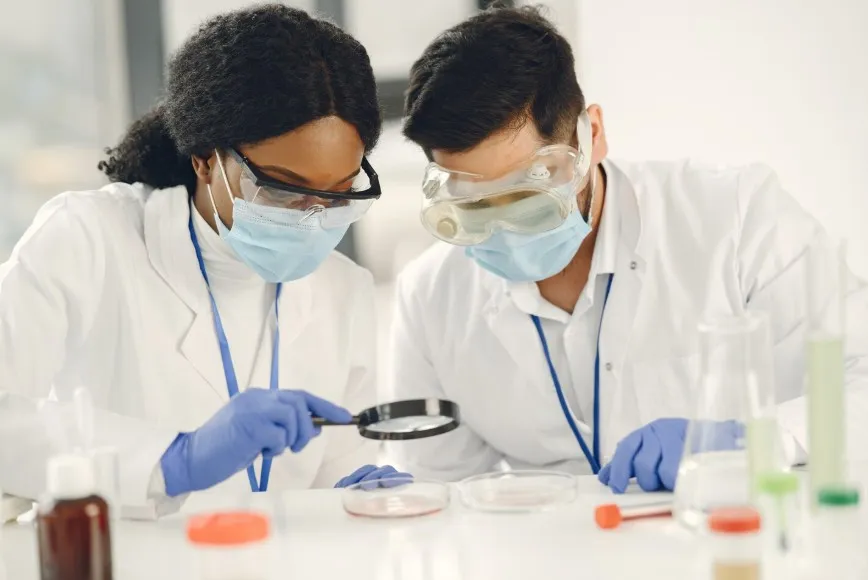 Investigación científica y desarrollo de vacuna definitiva contra la malaria, microscopio y ciclo del parásito Plasmodium