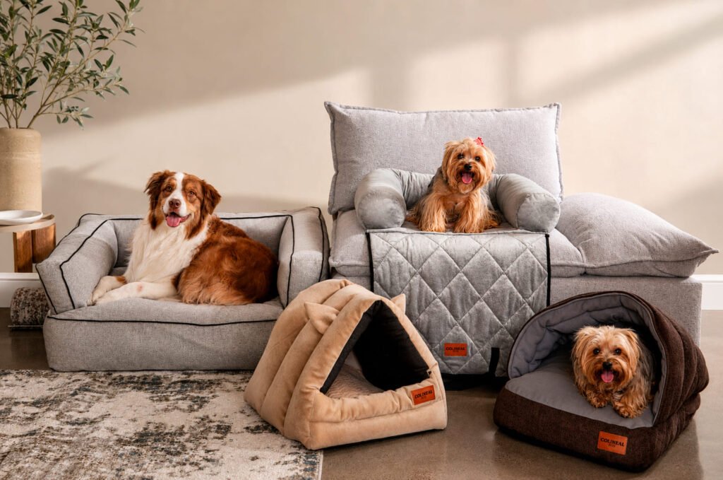 Hogar a prueba de mascotas