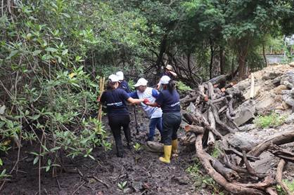Trabajadores del Vivero Comunitario Puerto Hondo cultivando plántulas de mangle rojo, negro y jelí para la restauración del ecosistema de manglar en Ecuador