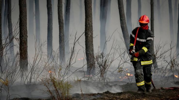 Bombero extingue incendios forestales en Saint-Jean-d'Illac, cerca de Burdeos, el 26 de julio de 2026