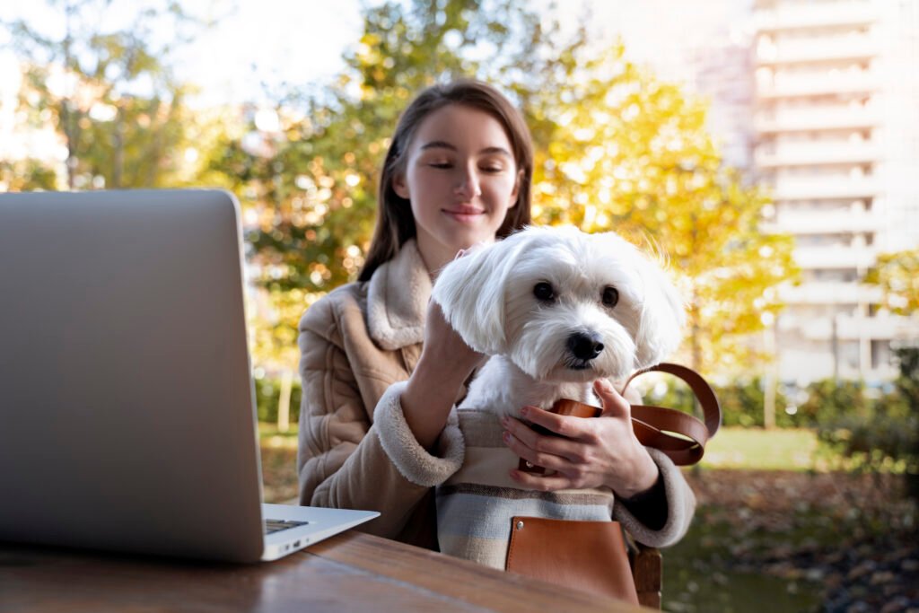 oficina pet friendly perros