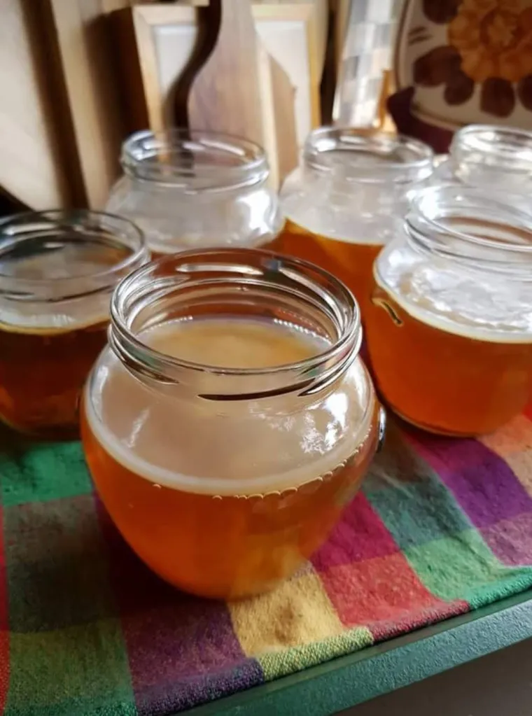 ceso de fermentación natural de kombucha con SCOBY, té y frutas frescas