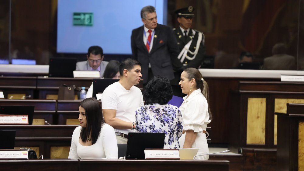 Solo dos asambleístas correístas renuncian a su curul pese a ser precandidatos en las elecciones seccionales; otros alegan amenazas del crimen organizado.