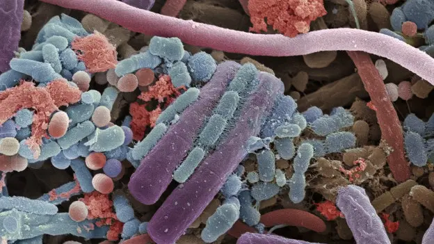 Ilustración sobre la resistencia a los antimicrobianos que representa bacterias y fármacos, con referencia al impacto en la salud mundial y la estrategia de la OMS.