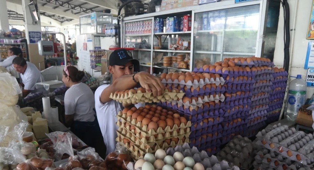 los huevos