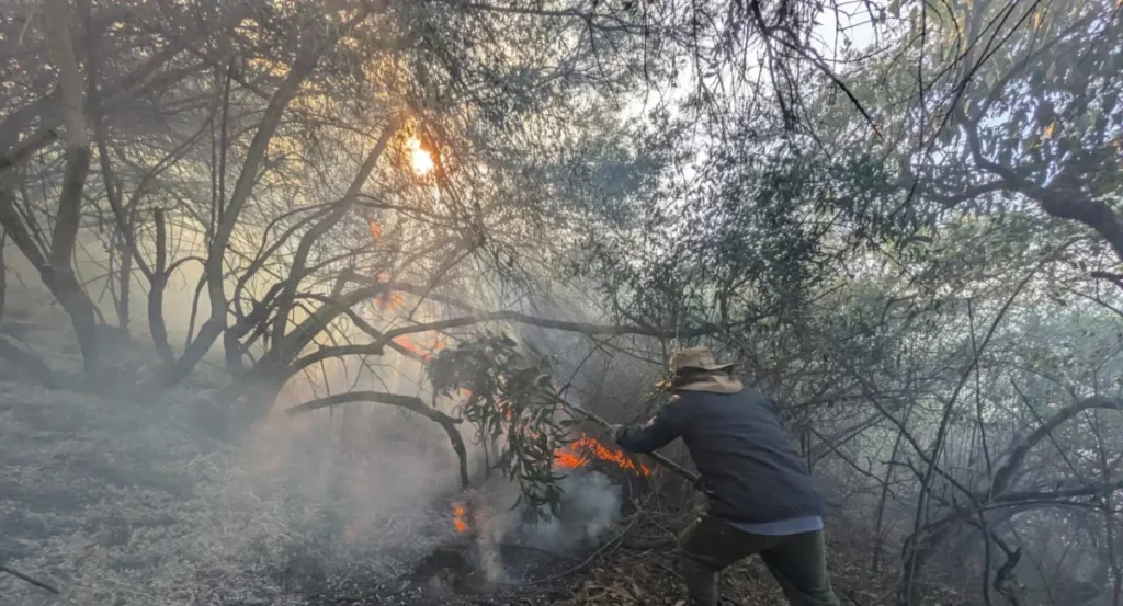 Operativo de emergencia donde **cinco incendios forestales movilizan a Bomberos de Quito