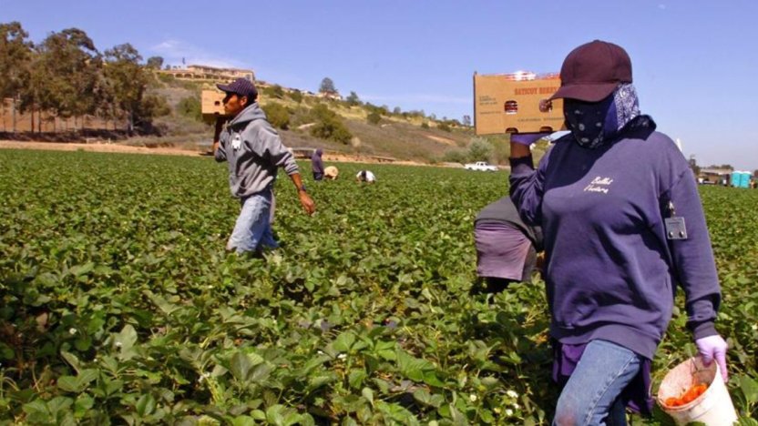 Solicitantes tramitando la visa H-1B en Estados Unidos tras el borrador del reglamento.