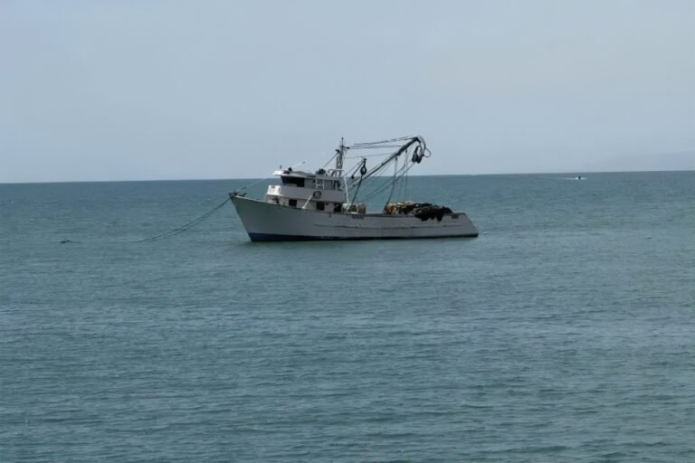 La Armada del Ecuador localizó a ocho tripulantes del Conquista II y coordinó el retorno de 26 ocupantes del María Candelaria tras operativo militar.